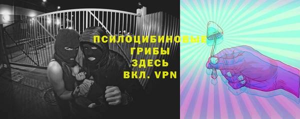 СК Мегион