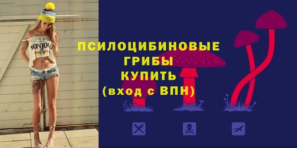 СК Мегион