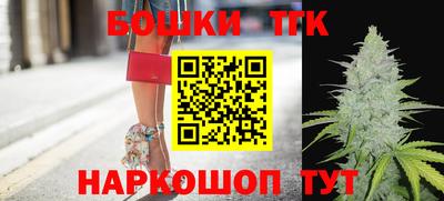 мдпв Гатчина