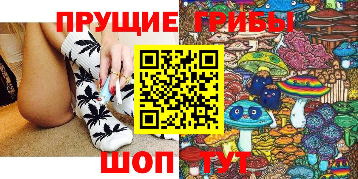 Галлюциногенные грибы Psilocybe Заринск