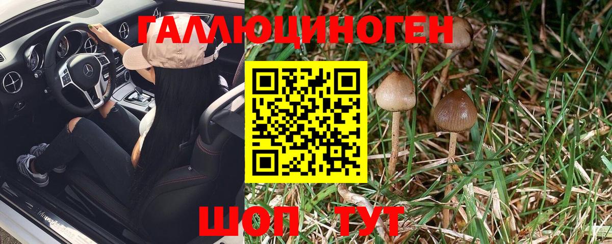 Заринск  Псилоцибиновые грибы Magic Shrooms  Псилоцибиновые грибы мицелий  Вход с VPN 
